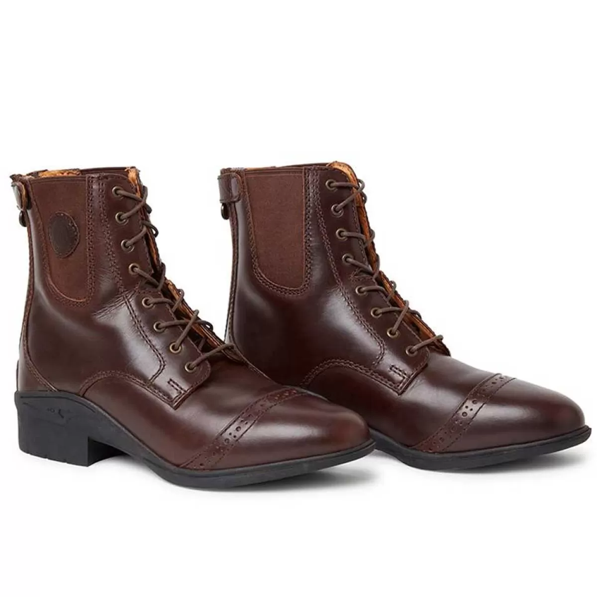 Hot Mountain Horse Aurora Lace Paddock Boots - Back Zip Brown